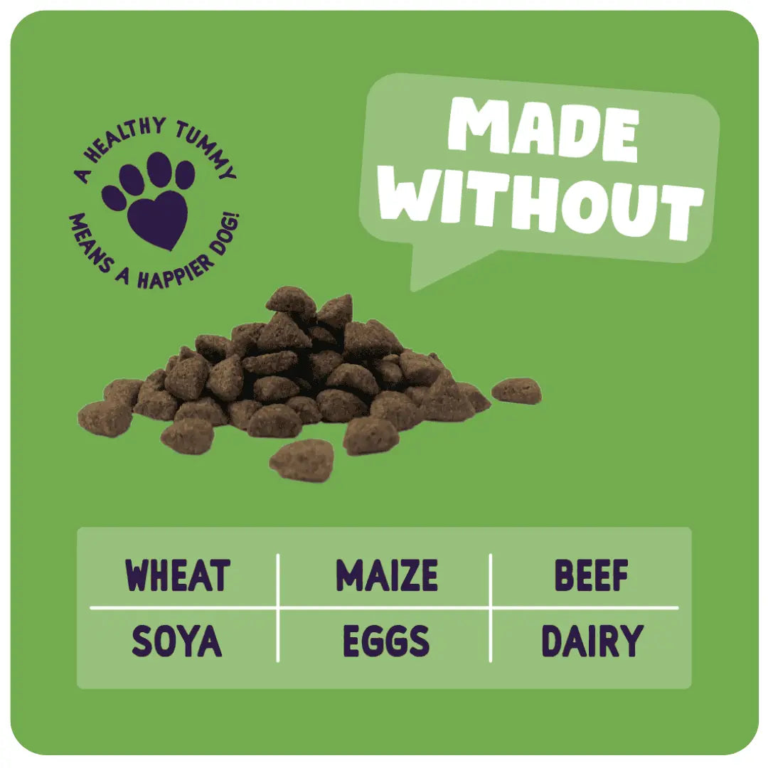 Burgess Sensitive Adult Dog Turkey 2 kg