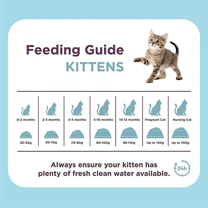 Burgess Supacat Kitten 1.5 kg