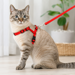 Cat Harness & Leash Kit Red