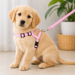 Cat Harness & Leash Kit Pink