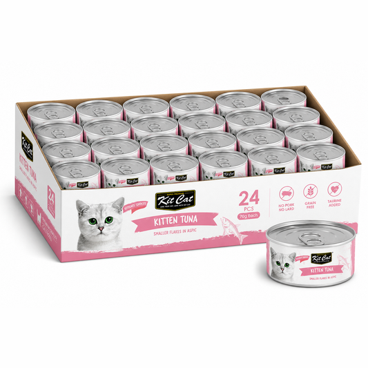 Kit Cat Kitten Tuna Flakes with aspic 80gx24pcs