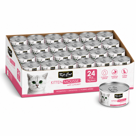 Kit Cat Kitten Chicken Mousse 24x80G