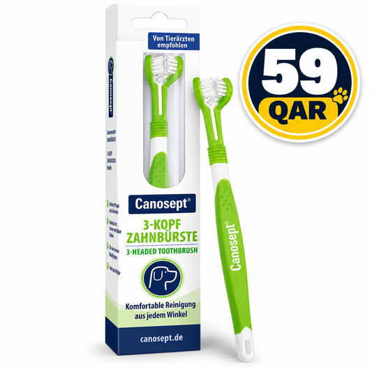 Canosept Triple Headed Tootbrush