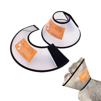 Elizabeth Pet Protection Collar, Size 3