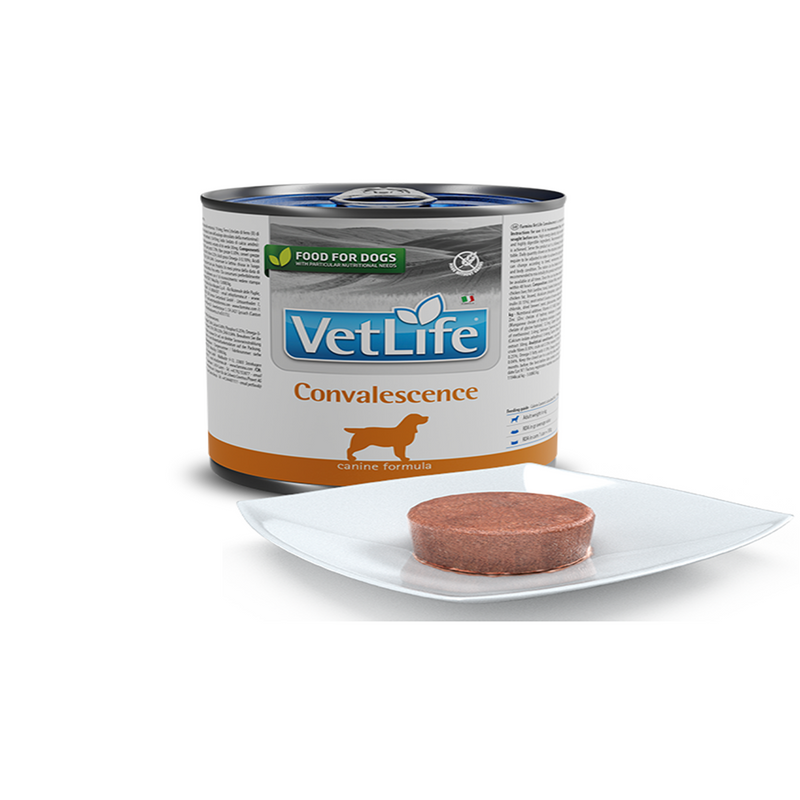 Farmina Vet Life Natural Diet Dog Convalescence 300g Can