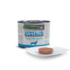 Farmina Vet Life Natural Diet Dog Hypoallergenic Fish & Potato 300g Can