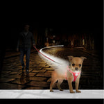 FLASHLIGHT HARNESS  WITH LEASH 120x35 45cm/15mm