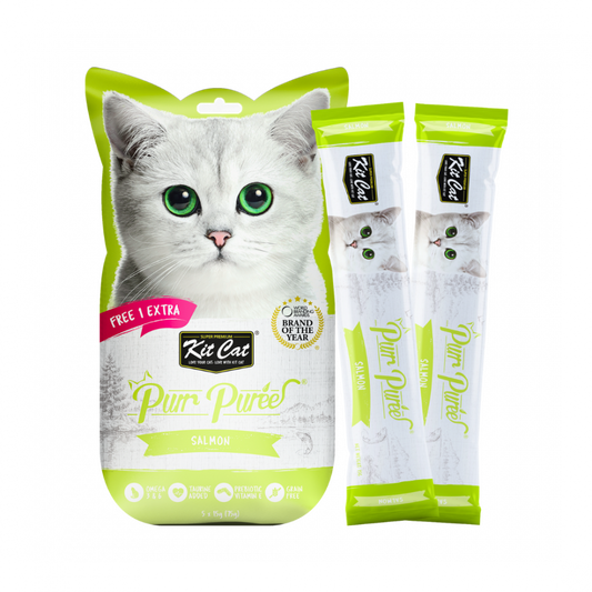 Kit Cat Purr Puree Liquid Treats for Cat – Salmon (15gx5 Sticks)