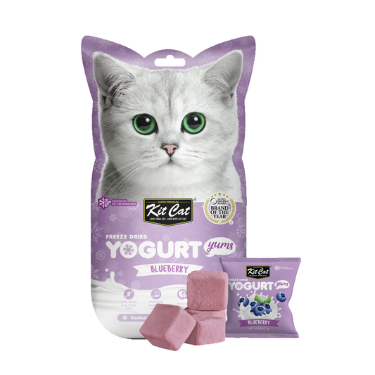Kit Cat Freeze Dried Yogurt Yums (Blueberry) 10G