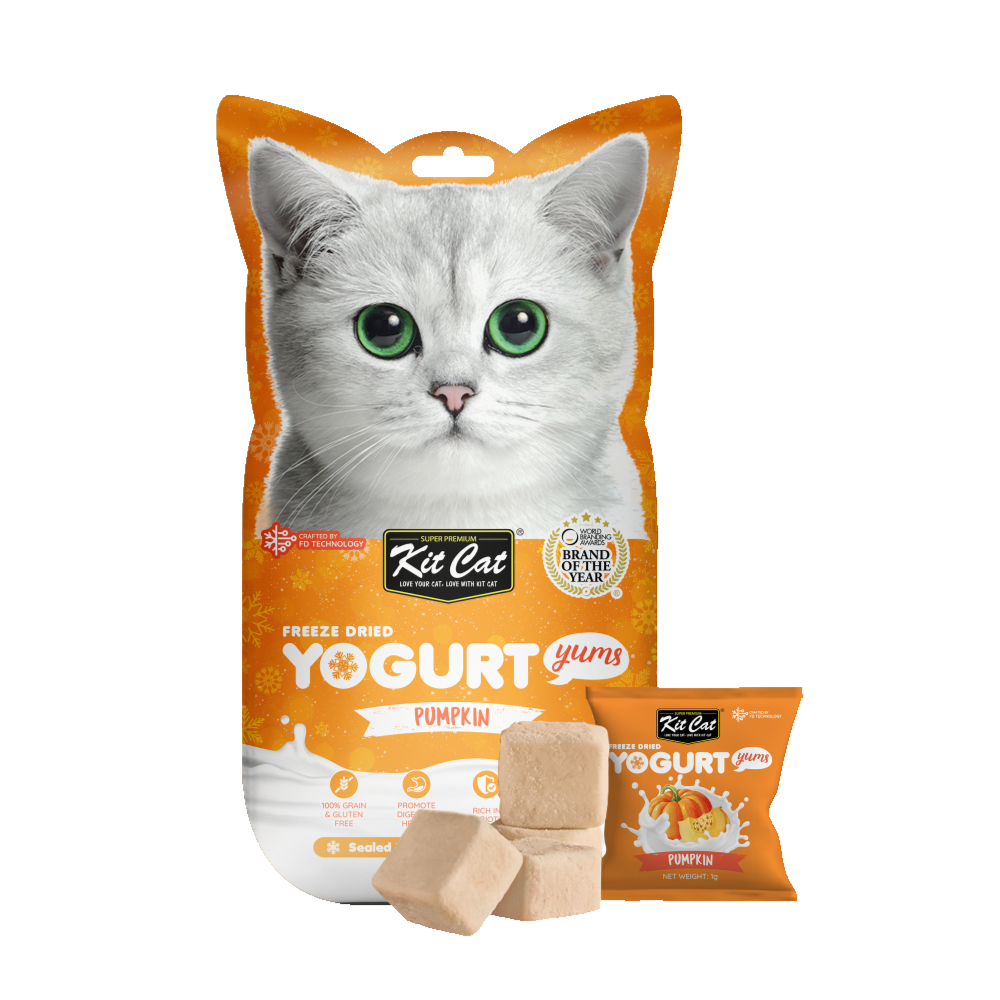 Kit Cat Freeze Dried Yogurt Yums (Pumkin) 10G