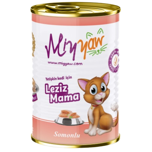 MIYYAW WET FOOD FOR ADULT CAT WITH SALMON Pate 400g  Can