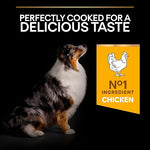 Purina Pro Plan Age Defence Medium and Large Senior 7+, Dry Dog food with Chicken, 3 kg