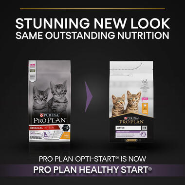 Purina Pro Plan Kitten Healthy Start Dry Cat Food with Chicken, 10 kg