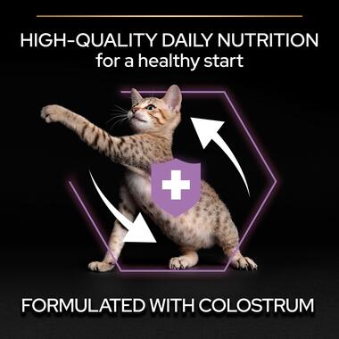 Purina Pro Plan Kitten Healthy Start Dry Cat Food with Chicken, 10 kg