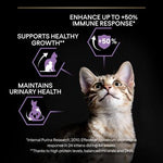 Purina Pro Plan Kitten Healthy Start Dry Cat Food with Chicken, 10 kg