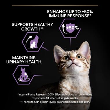 Purina Pro Plan Kitten Healthy Start Dry Cat Food with Chicken, 10 kg