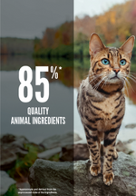 ORIJEN Six Fish Cat Dry Food – 340 g