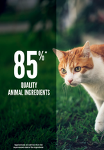 ORIJEN Fit & Trim Cat Dry Food – 340 g