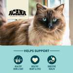 ACANA Bountiful Catch Cat Dry Food – 4.5 kg