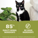 ACANA Chicken Adult Cat Wet Food 85 g  - Premium