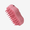 Spray massage brush
