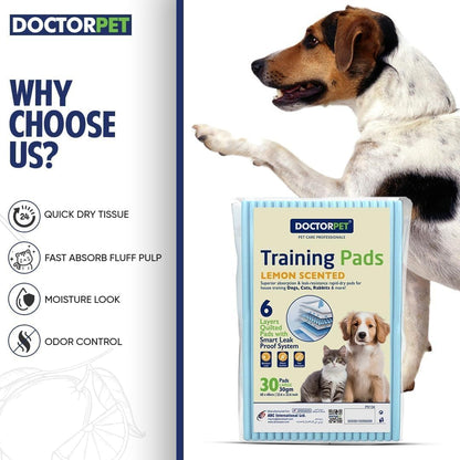 Doctor Pet TRAINING PADS 60x60cm 30g Regular Lemon 30's