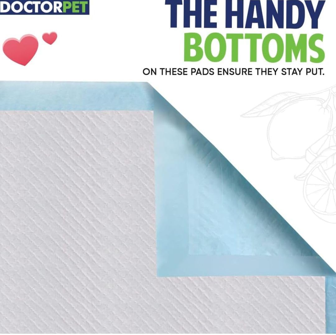 Doctor Pet TRAINING PADS 60x60cm 30g Regular Lemon 30's