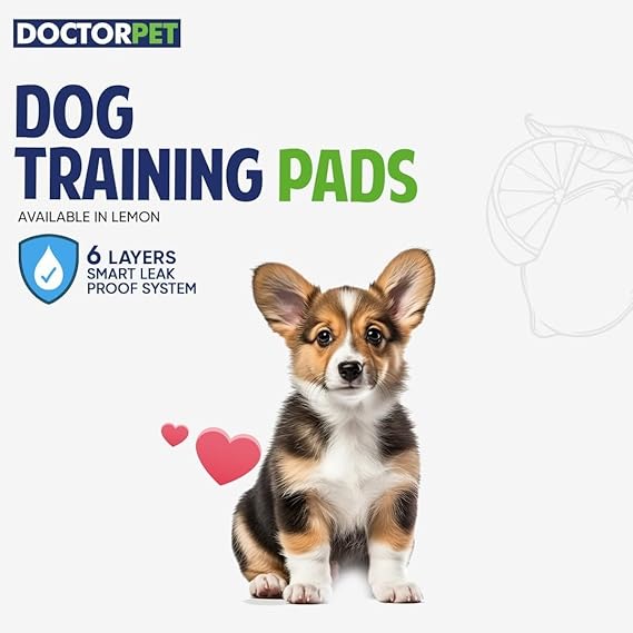 Doctor Pet TRAINING PADS 60x90cm 40g Regular Lemon 25's
