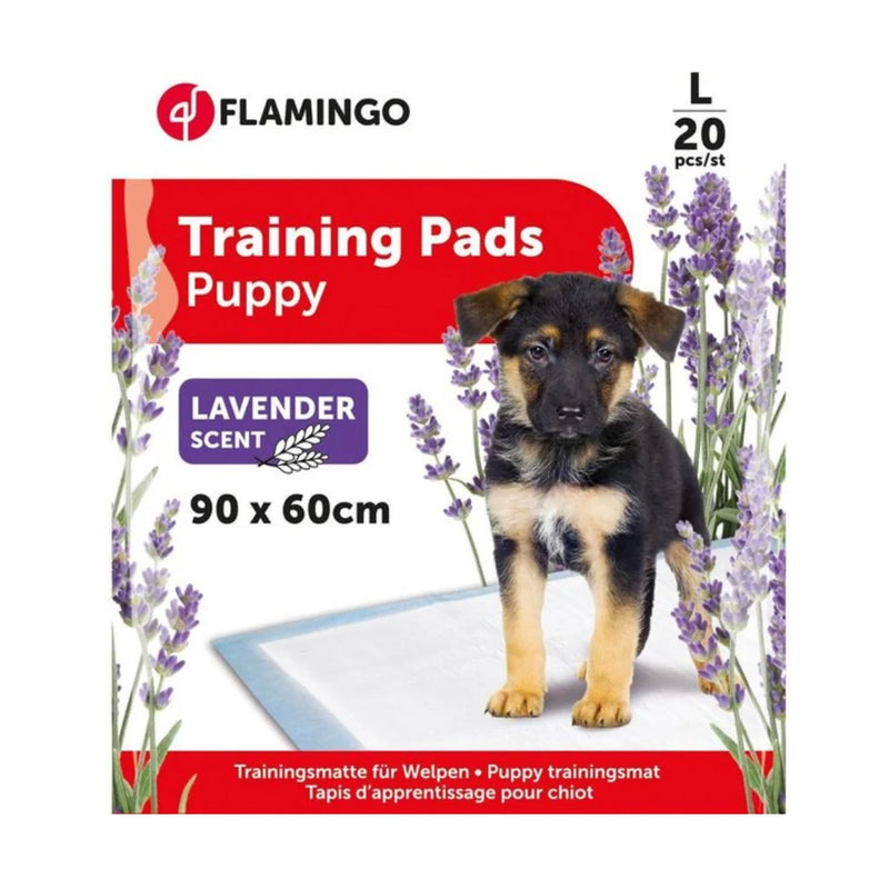 TRAINING PAD PADY L  20PCS LAVENDER