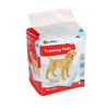 TRAINING PAD PADY M  40PCS 60x45CM