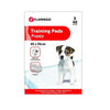 TRAINING PAD PADY S  40PCS 45x35CM