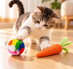 Colorful Carrot & Ball Cat Toy Set