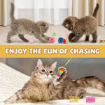 Cat Toy Gift Pack 16 pcs