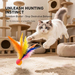 Cat Feather Bouncing Ball
