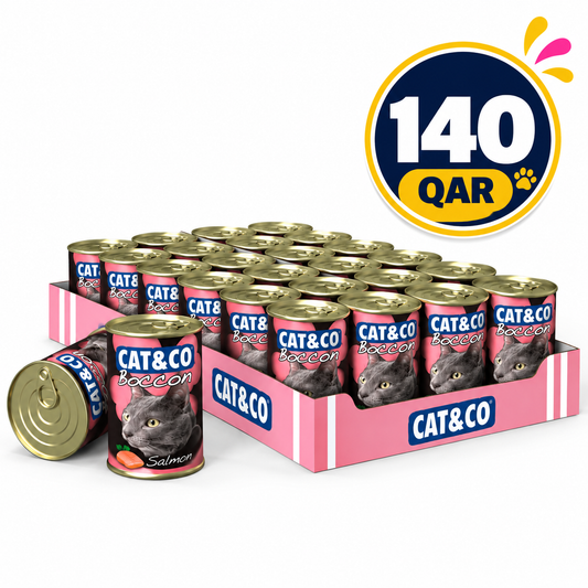Cat&Co WET Salmon 24x405g Box