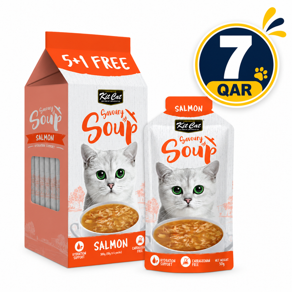 Kit Cat Savoury Soup Salmon 50g Pouch