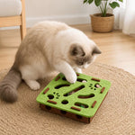 Cat Toy Treasure Hunt Puzzle Box - Green