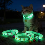 Random Color Pet Glow-in-the-Dark Collar