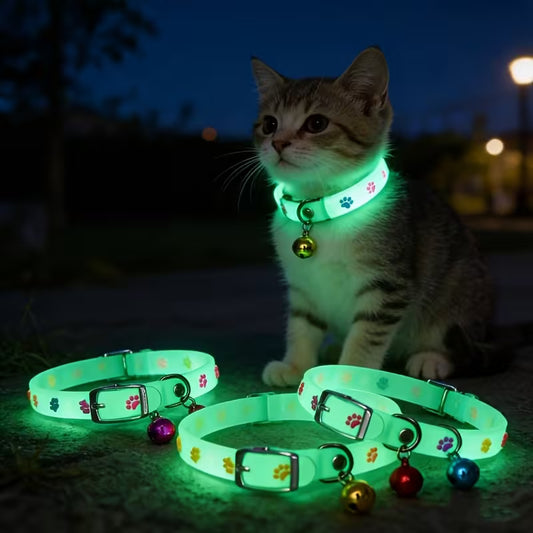 Pet  Collar Glow-in-the-Dark