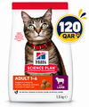 Hills Science Plan Adult Feline Food with Lamb 1.5KG