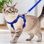 Cat Harness & Leash Kit Blue