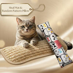 Catgrass Pillow 2 in 1, Catnip for Cat,Sisal Cat Scratch Mat