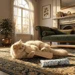 Catgrass Pillow 2 in 1, Catnip for Cat,Sisal Cat Scratch Mat