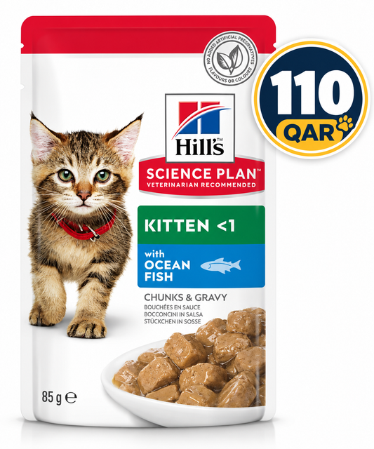 Hill's Science Plan Kitten Food with Ocean Fish (Pouches) 85gx12