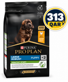 Purina Pro Plan Healthy Start Large Robust Puppy, Dry Dog food with Chicken, 3 kg