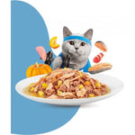 MOOCHIE MINCE WITH SALMON (WEIGHT CONTROL)12x70g Pouchs