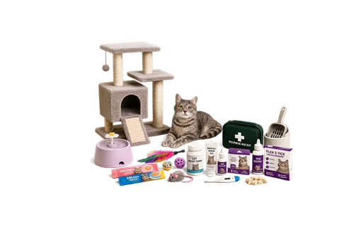 CAT - ACCESSORIES